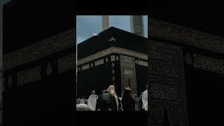 Labaik Kalla Humma Labaik❤🌺 #islamicstatus#labaikkallahummalabail#takbeer#hajj2023#hajjmubarakstatus