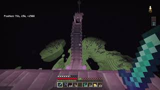 Almost Died For This 2nd Elytra...