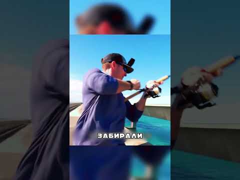 Мужик ВЫТАЩИЛ гигантскую АКУЛУ с моста🤯🌊🦈
