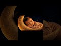 Relaxing Baby Music 🌙 Soft Piano Lullaby #PianoLullaby #BabySleep #Shorts
