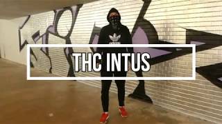 Brownie 33 ~ THC INTUS [Official Video] 4K