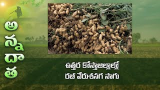 Rabi groundnut farming tips for north coastal Ap | ETV
