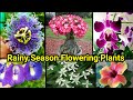 Top Heavy Flowering Plants To Grow In Rainy Season | कलम से अभी उगाइये ये पौधे, ढेर सारे फूल देंगे