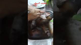 طريقه ️تنظيف السمك بكل سهوله مع ماما سمراء 