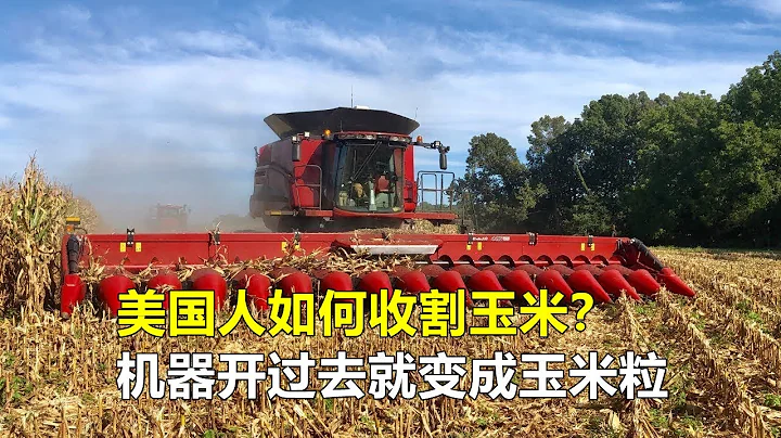 美國人收割玉米，機器開過去就變成玉米粒，真正的農業現代化！ - 天天要聞