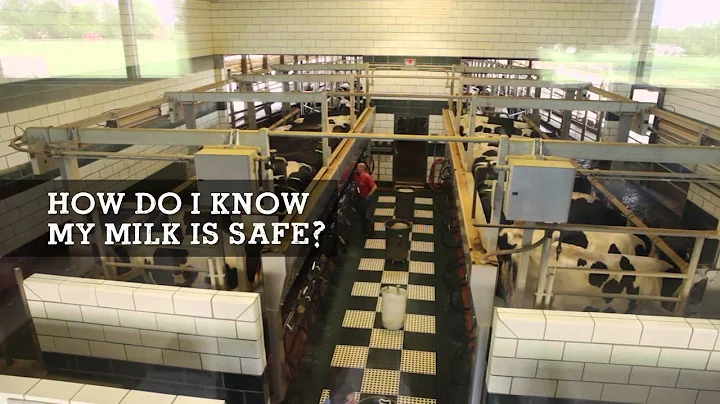 Straight Talk with a Dairy Vet: Antibiotics