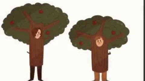 Treebros  (Connor x Evan)