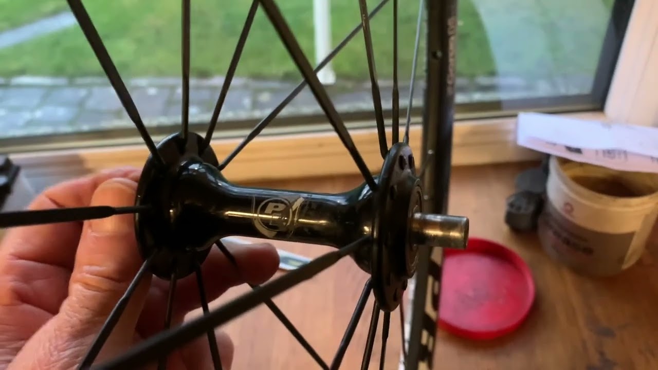 Prolite Garda DS 2.0 bearing replacement