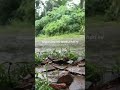 tetap konsisten #katakatabijak #videosort #quetesstory #storytime #motivation #motivasi #sinauurip