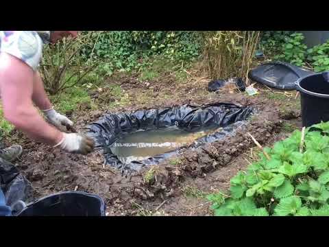 How to Build an Amphibian Conservation Area in your Garden
