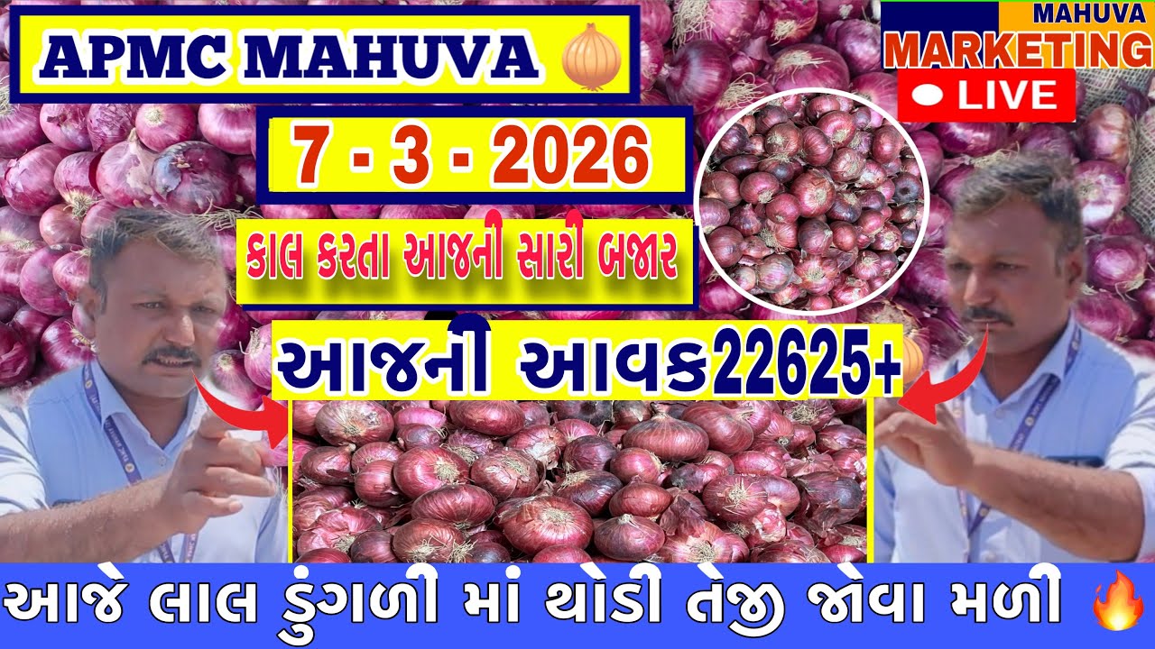 જોવો આજની લાલ ડુંગળી ની લાઈવ હરાજી | APMC MAHUVA | આજની આવક 22625+ થેલા આખી |