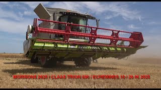 MOISSONS 2025 / CLAAS TRION 650 /ECHEMINES /AUBE /20 06 2025 /