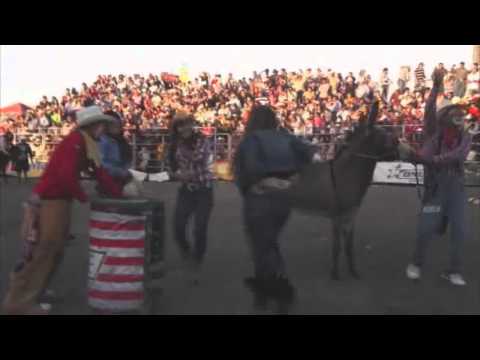 Donkey Abuse at Rodeos