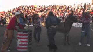 Donkey Abuse At Rodeos