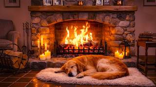 Sleeping Dog and Fireplace 24/7 🔥Crackling Fire Sounds