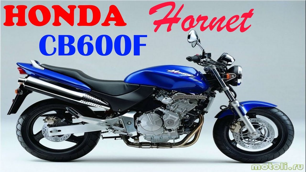 Жужжим на Hornetе, Honda CB600F Hornet
