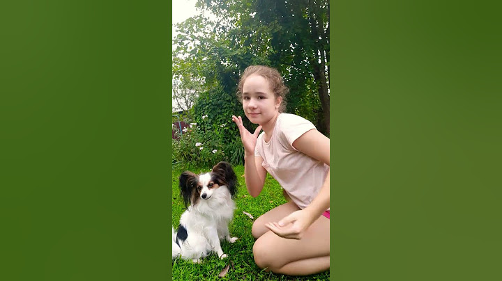 #рекомендации снимала видео со своим пёсиком 🐶🐶🐶её зовут Маня!!🐶🐶🐶милый тренд! 💝💗
