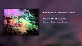 The Moonlight Orchestra  Bloom