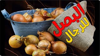 فوائد البصل للرجال - لماذا يجب أن يأكل الرجال البصل كل يوم؟