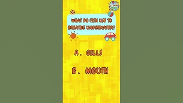 Can You Score 10/10? Ultimate Quiz Challenge 🧠 #quiz #trivia #challenge #braintest #funquiz #shorts