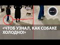 В одних носках погулял в мороз: в Екатеринбурге мать решила проучить сына из-за собаки