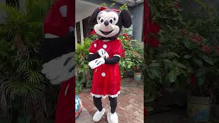 Minnie Mouse Dance...