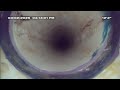 Seesnake - 42832