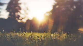 Ne Budi Nemaran Po Pitanju Dobročinstva Ljudima| Dr. Safet Kuduzović