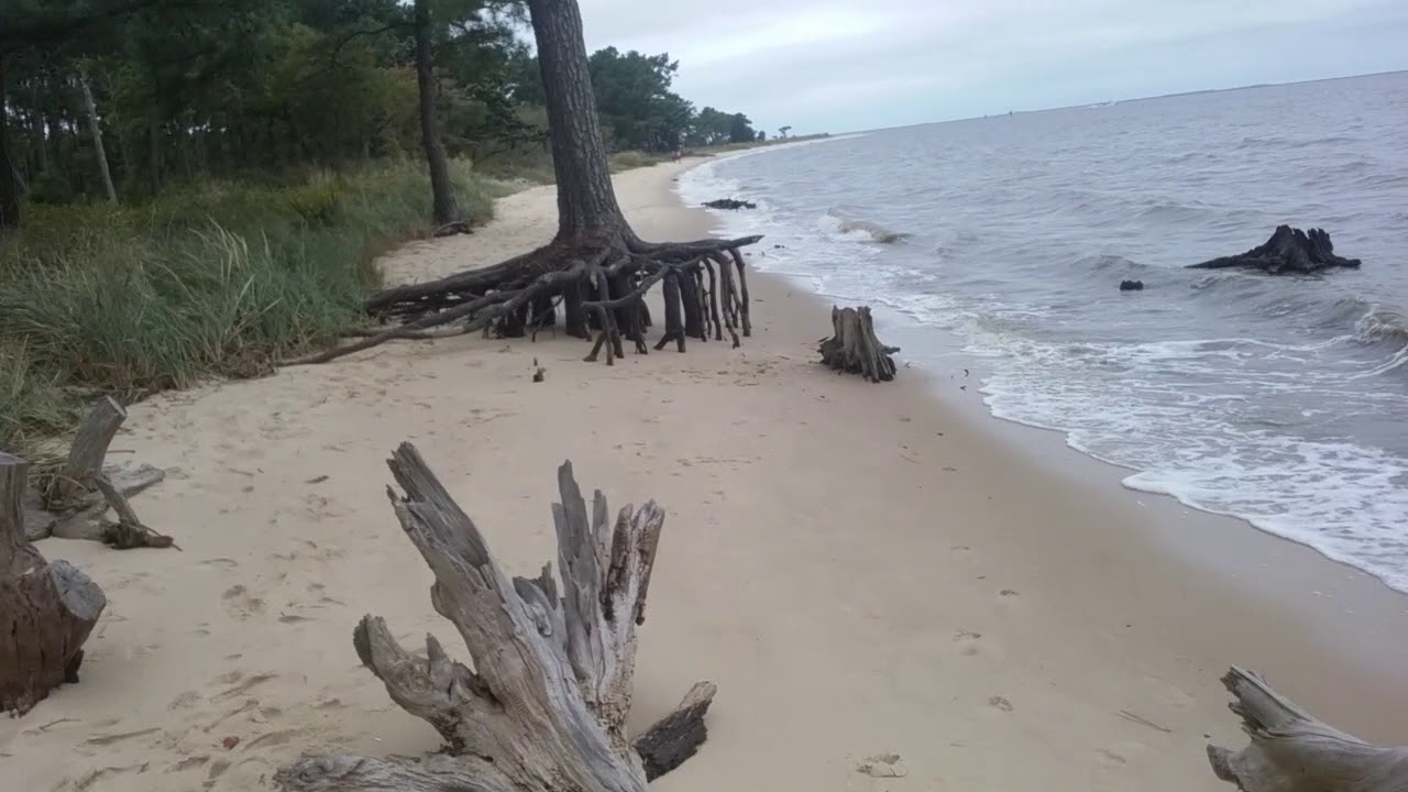 Nanticoke River Beach YouTube