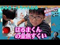 【夏祭り】はるまくんの金魚すくい【遊び】 #Shorts