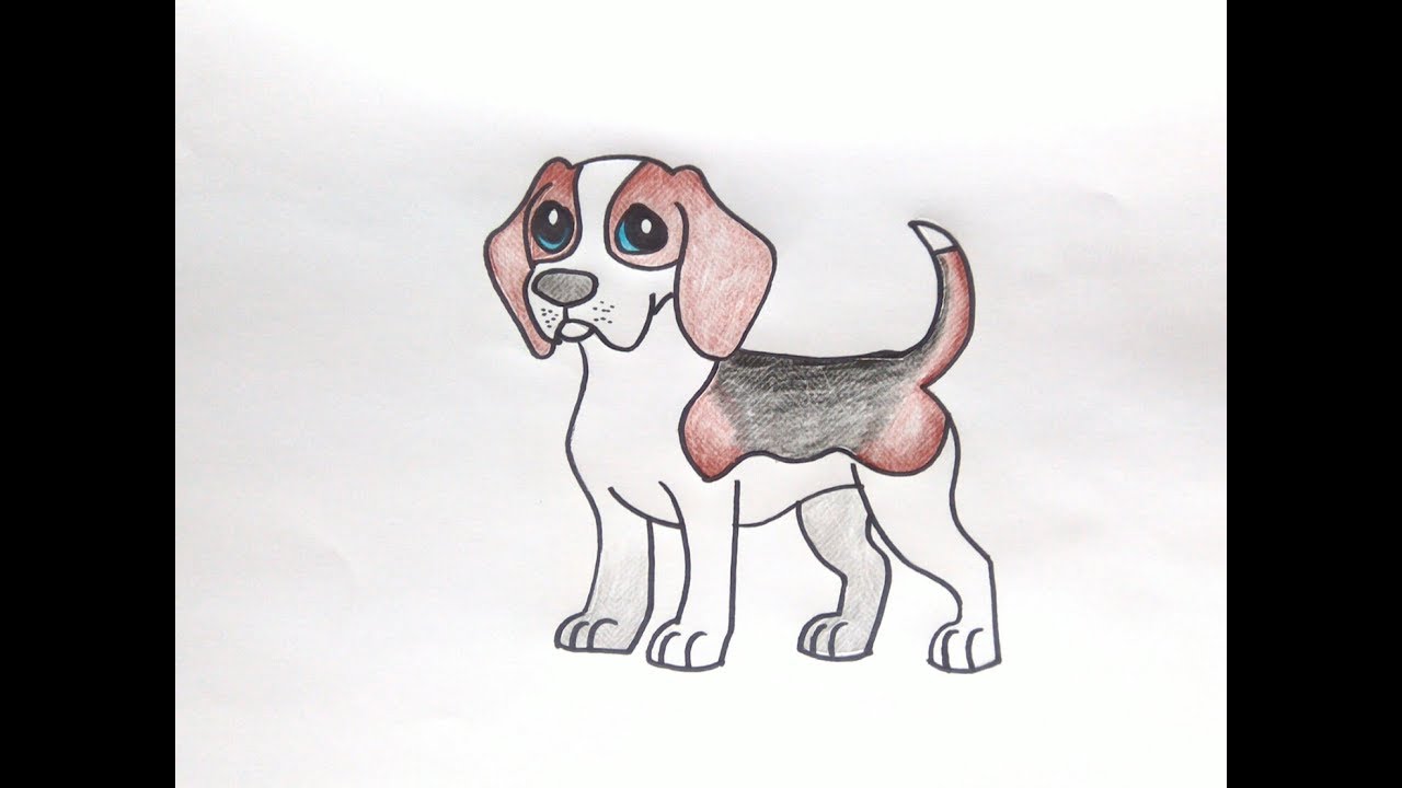 How to Draw a Dog : สอนวาดรูปน้องหมาน่ารักๆ | ภาพ วาด หมา น่า รัก