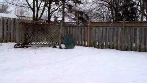 Planet Eclipse Ego 08 Uncapped Ramp