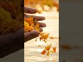 Application 5 - Letting go | Bhagavad Gita Wisdom