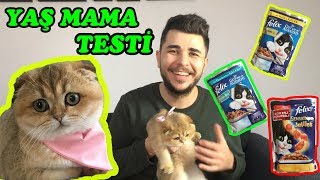 BU MAMANIN İÇİNDE NE VAR? (Felix Yaş Mama Testi)