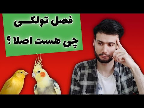 تصویری: چه محصولی را باید به طبیعت برد