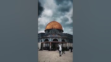 واصبر وما صبرك الا بالله | الشيخ مشاري العفاسي من سورة النحل | قرآن كريم _ حالات واتس