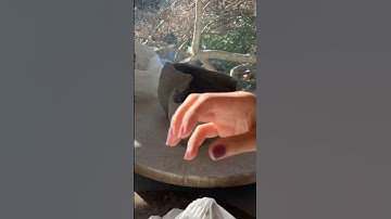 How to create a vase DIY 🌿 Part 4! Follow for part 5 #art #clay #diy #ceramic