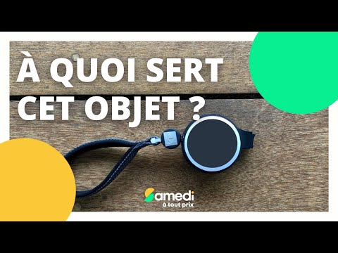 Linventeur de la semaine : Un harnais pour chien avec laisse intégrée - Samedi à tout prix @/Samedi%C3%A0toutprix