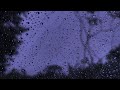 Go to Sleep with Rain Falling on Window | Relaxing Gentle Rain Sounds for Sleeping Problems/Insomnia