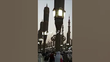 حالات واتس اب للاحتفال بالمولد النبوي الشريف طلع البدر علينا 