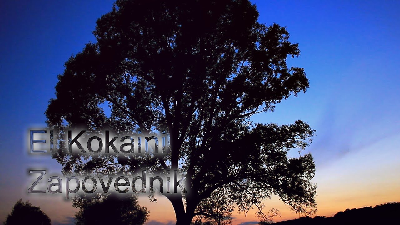 El Kokaini - Zapovednik [2015] [by R1ffRaff]