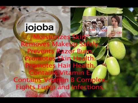 jojoba oil and plants complete review in  urdu and hindi by