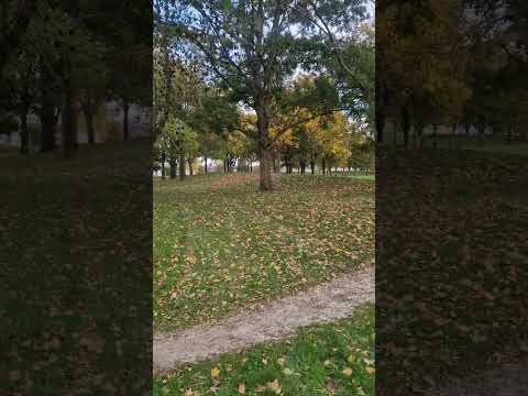 پروردگارا مرا برپا دارنده ی نماز قرار ده و از فرزندانم نیز چنین گردان