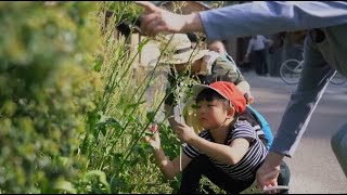 Unesco Aprendendo Sobre Sustentabilidade Com O Interior Do Japão