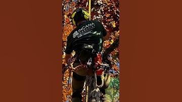 Tree Removal with a Crane: Precision in Tight Spaces