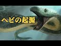 ヘビの足はなぜ消えたのか?|コブラが毒を吐くようになった本当の理由とは?