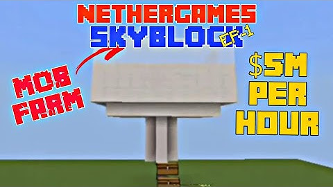 Making Mob Farm In NetherGames Skyblock EP1....