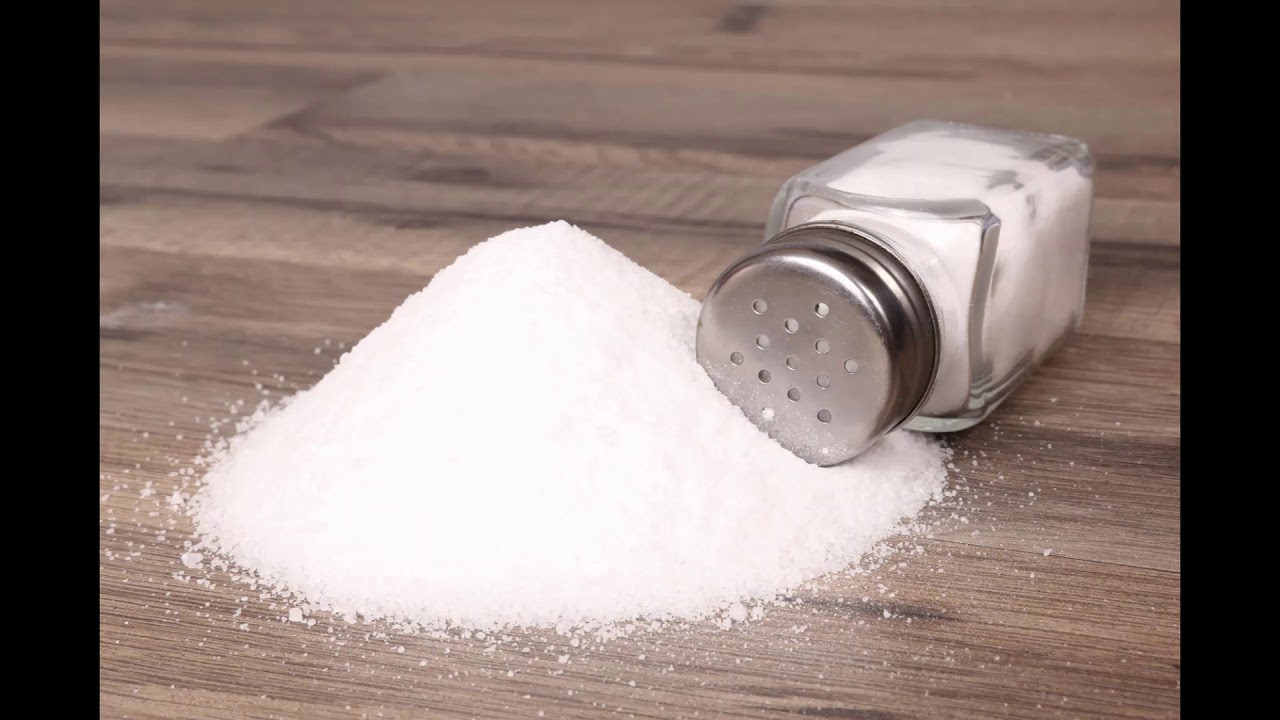 Ihr seid das Salz der Erde - YouTube