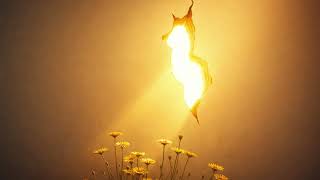 Yıkılır Duvarlar Nora Noir Indie Alternative