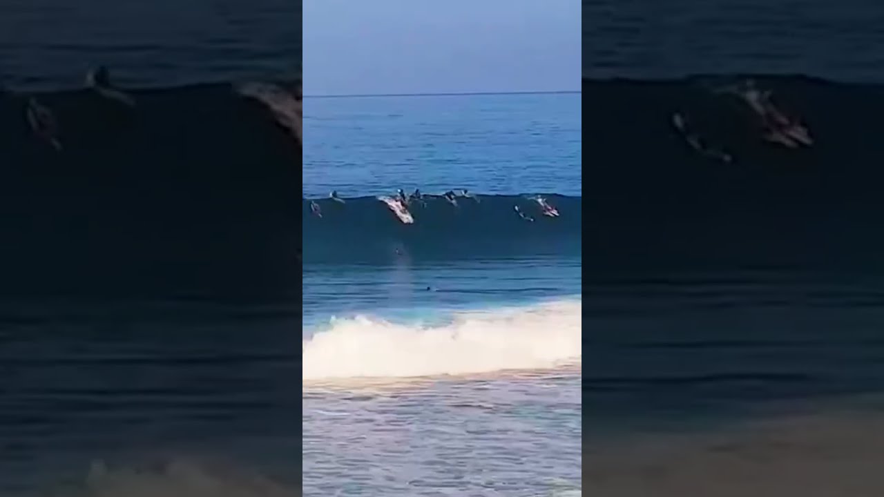 Clips